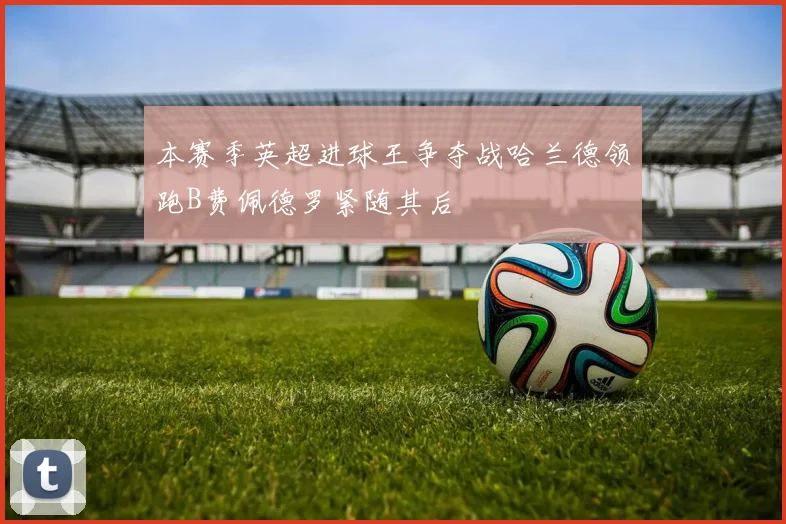 本赛季英超进球王争夺战哈兰德领跑B费佩德罗紧随其后